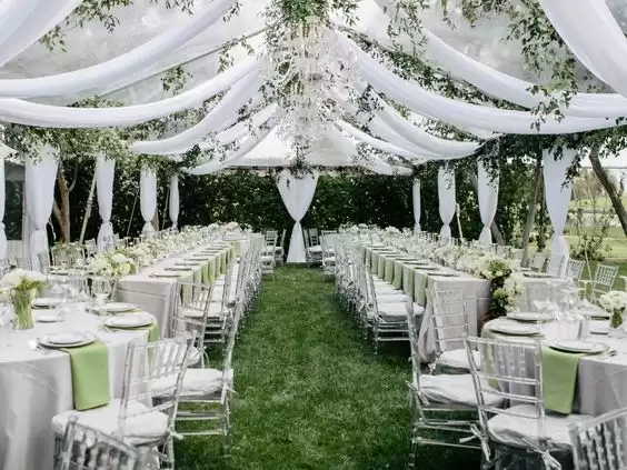 Blush Green Marriage Lawn